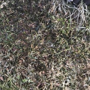 Meet your Posher, Lina